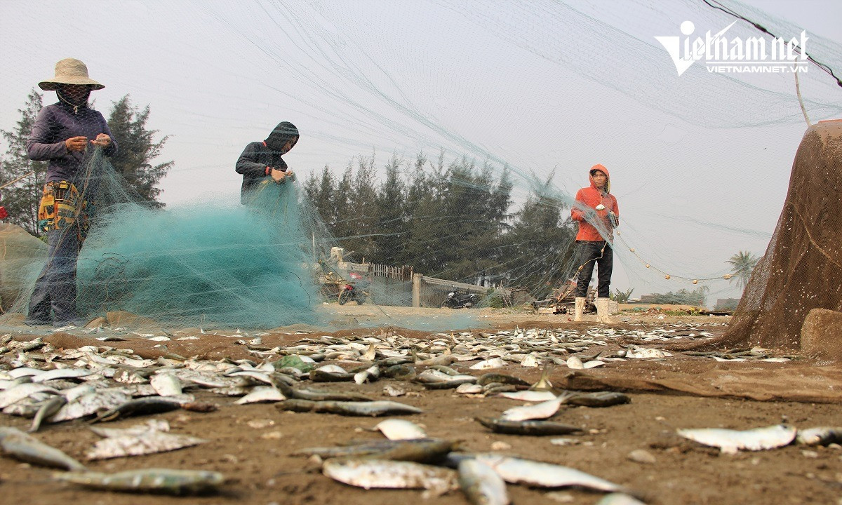Ngu dan Nghe An kiem tien trieu moi sang-Hinh-2
