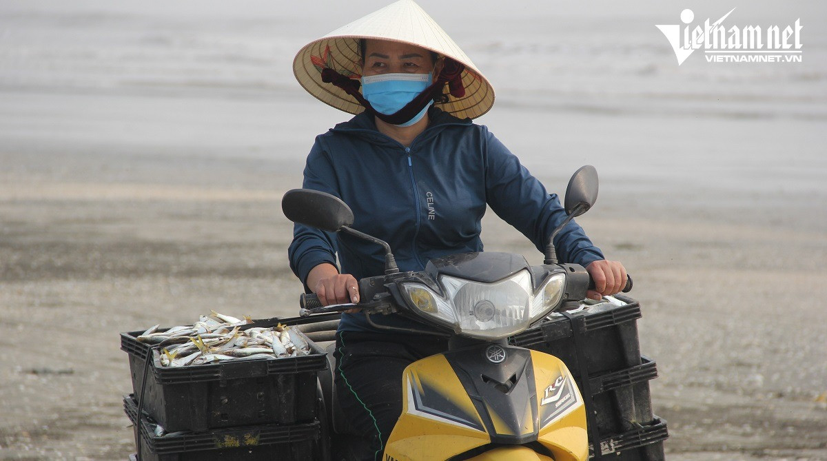 Ngu dan Nghe An kiem tien trieu moi sang-Hinh-8