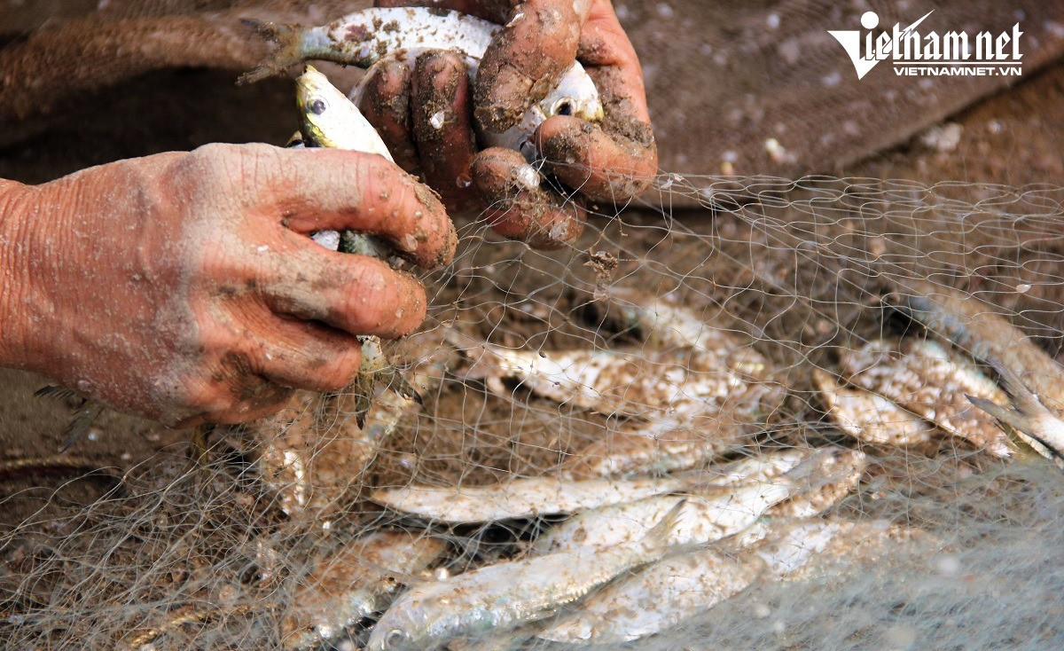 Ngu dan Nghe An kiem tien trieu moi sang-Hinh-5