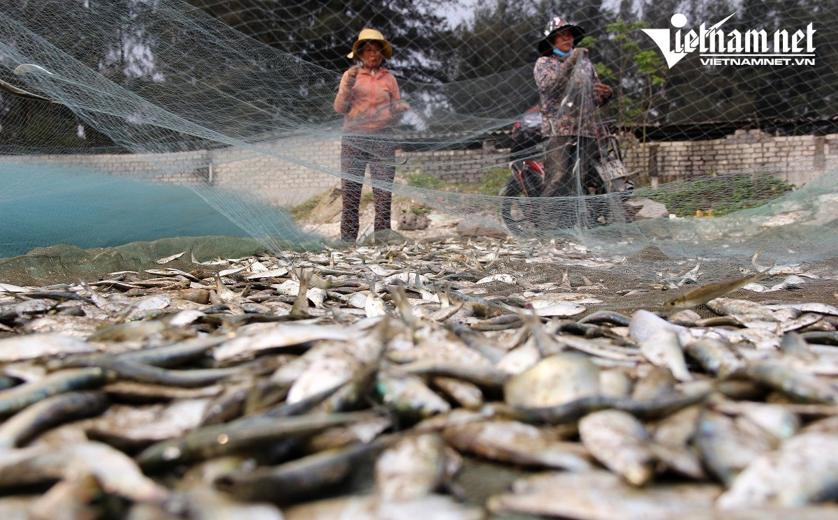 Ngu dan Nghe An kiem tien trieu moi sang-Hinh-4