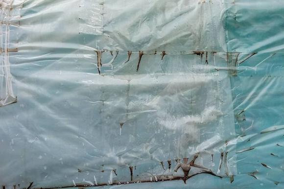 Neu an thuc an dung trong tui ni long lau ngay se co tac hai gi?