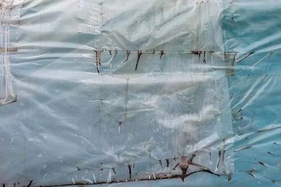 Neu an thuc an dung trong tui ni long lau ngay se co tac hai gi?