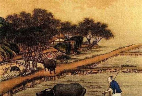 “Dan ong co long dang gia ngan vang, dan ba khong co long thi ba doi phu quy”