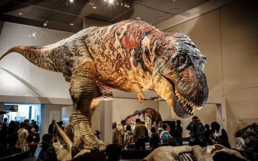 Tai sao khung long khong tien hoa thanh sinh vat thong minh?-Hinh-3