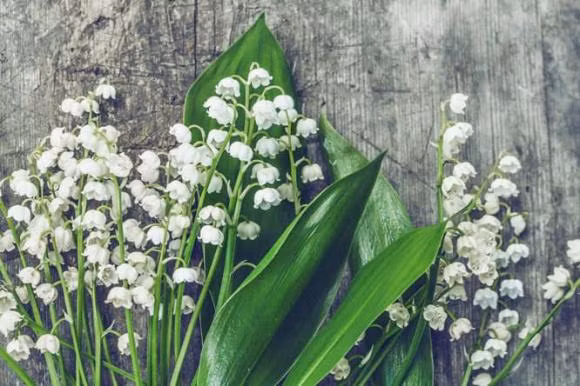 Nguoi than nen de y nhung chi tiet nay de tranh thanh 'ke thu'-Hinh-4