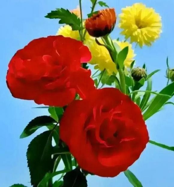 “Gia dinh co bon dieu nay, luon co phuc” nghia la gi?