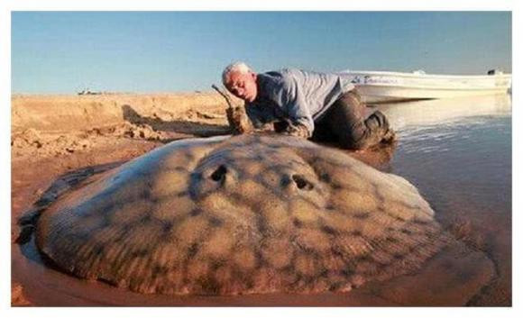 Neu tat ca cat trong sa mac bi khoet rong, thu gi se xuat hien ben duoi?