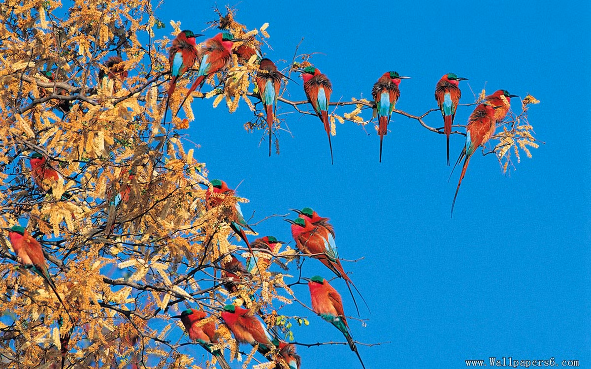 Ai sinh ngay Am lich nay co sao may man vay quanh-Hinh-2