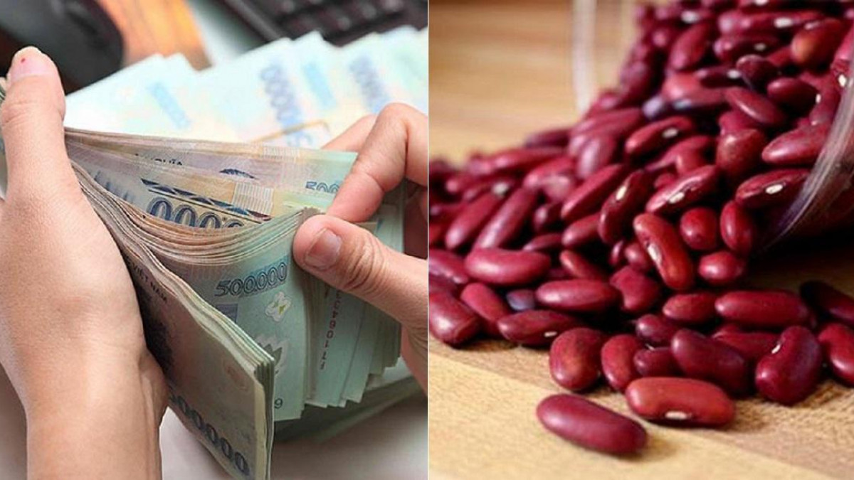 Ngoài việc mang tới may mắn về tiền bạc, hạt đậu đỏ còn có thể giúp ích cho đường tình duyên của bạn nữa đấy.