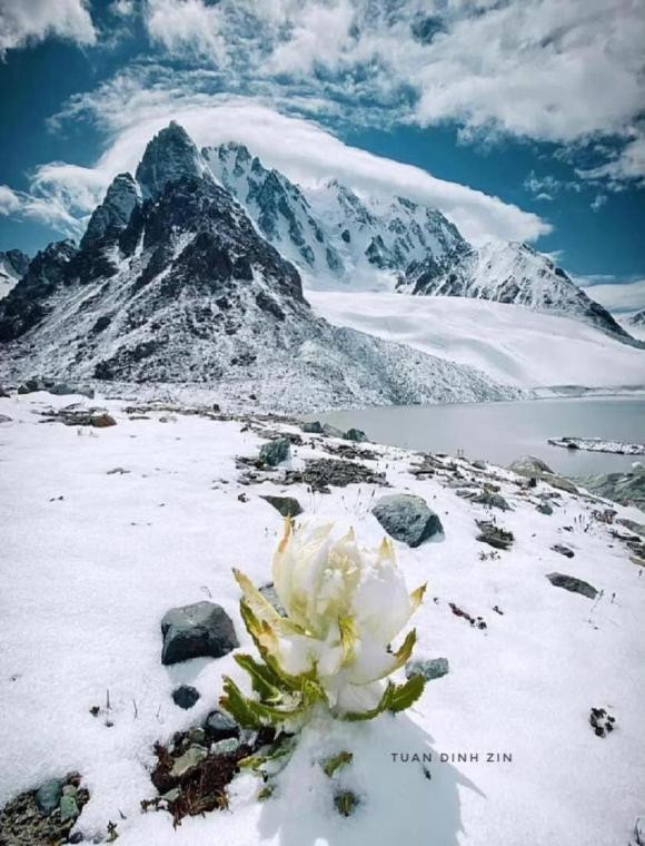 Me man ve dep cua Thien Son tuyet lien-Hinh-4