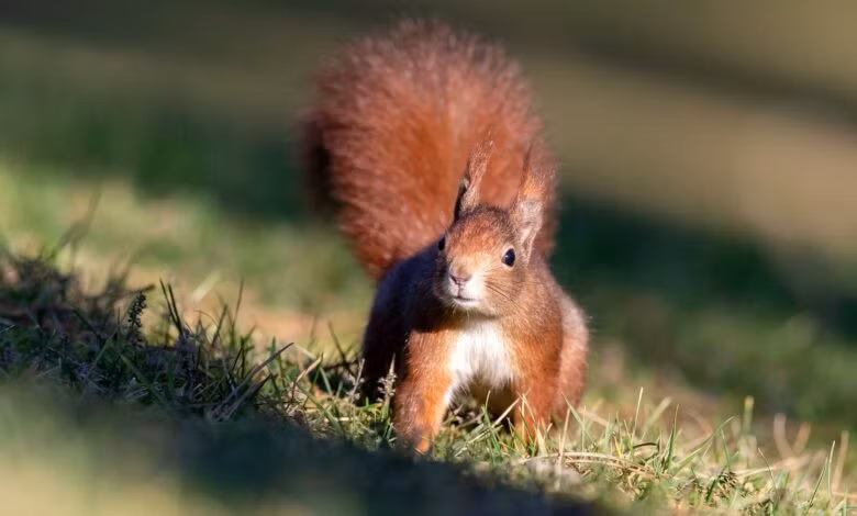 Trung Quoc huan luyen soc danh hoi ma tuy