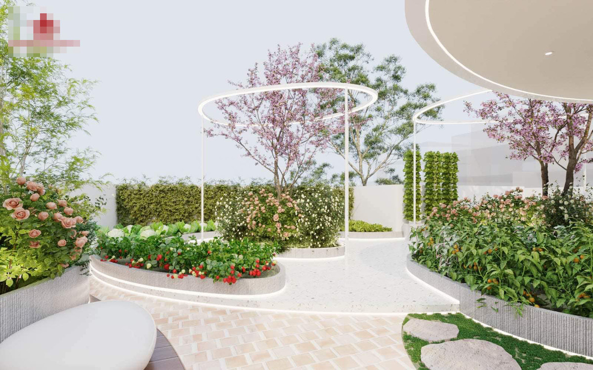 Vườn sân thượng kết hợp trồng cây và làm vườn nướng BBQ. Phần mái hiên kính giúp vườn có nhiều ánh sáng nhưng vẫn tránh được nước mưa ướt.