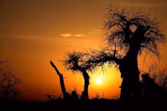 Nam hoi tiec lon cua nguoi nhac nho chung ta cach song tot hon-Hinh-2