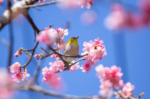 Gia dinh hoa thuan, 4 con giap don nam Quy Mao cat tuong