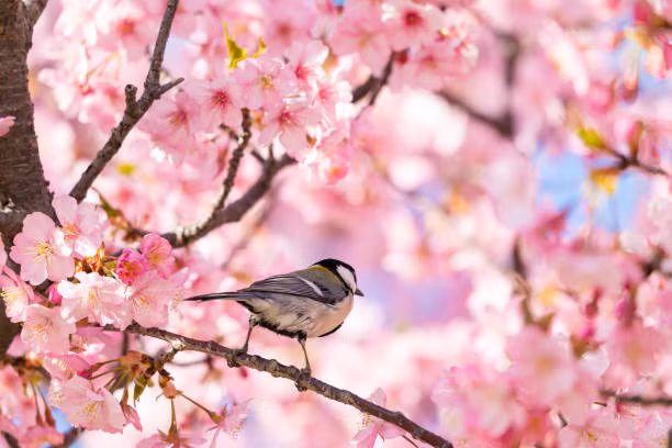 Gia dinh hoa thuan, 4 con giap don nam Quy Mao cat tuong-Hinh-3