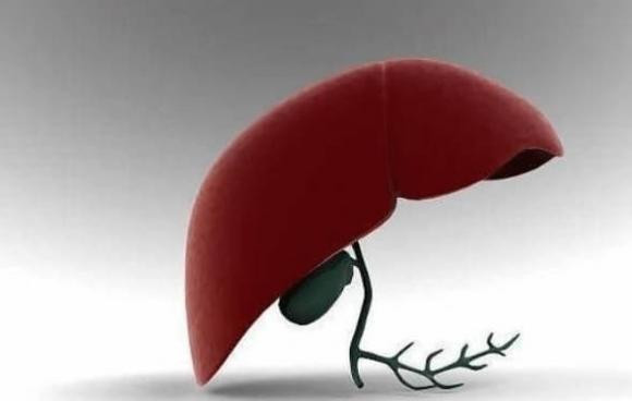 4 loai thuc pham 'giai doc tu nhien' cho gan