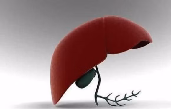 4 loai thuc pham 'giai doc tu nhien' cho gan