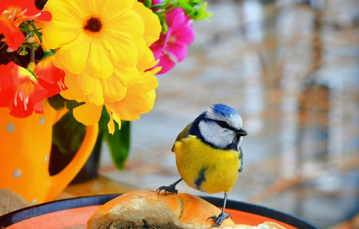 Ai sinh thang Am lich nay, cang ve hau van so menh cang em ai-Hinh-3