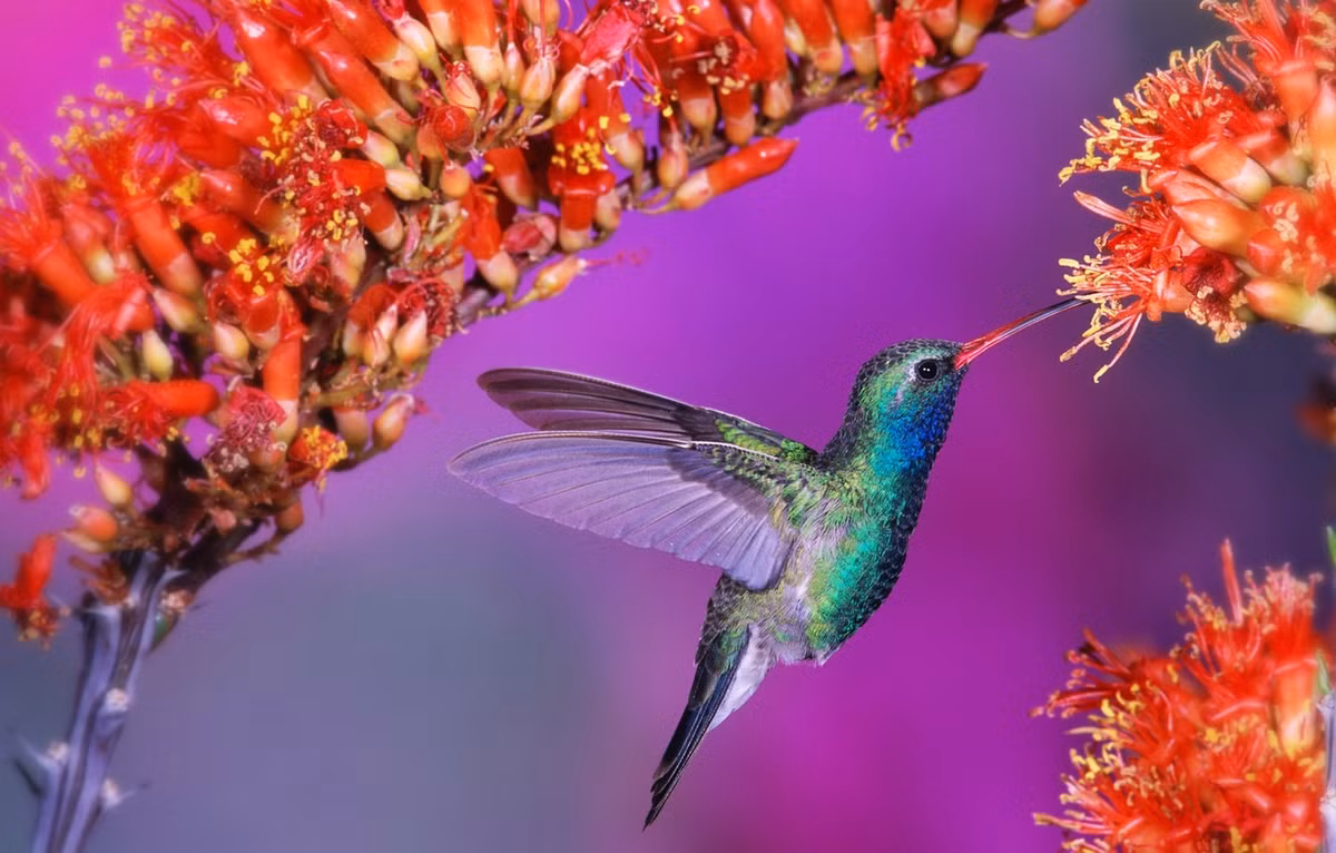 Ai sinh thang Am lich nay, cang ve hau van so menh cang em ai