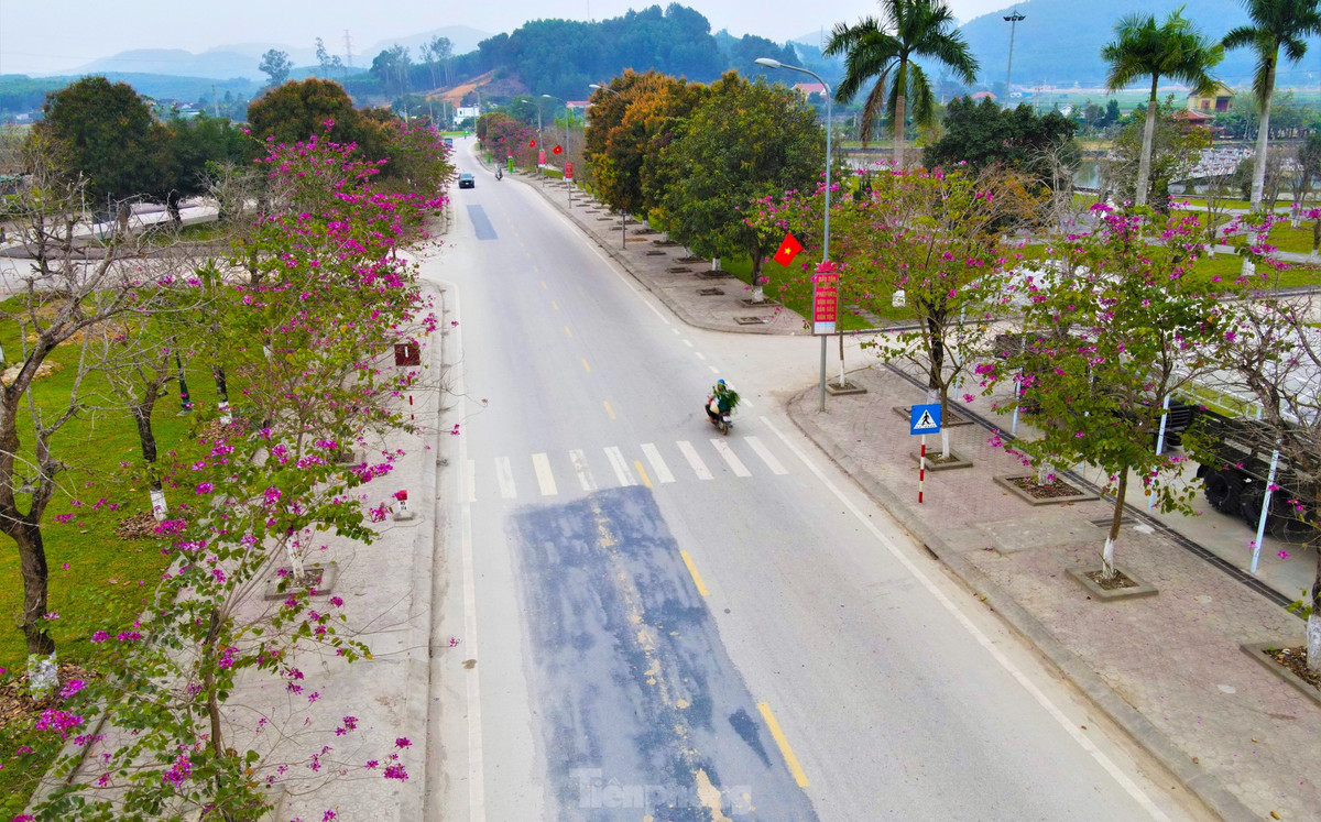 Dep nao long con duong hoa ban o Truong Bon