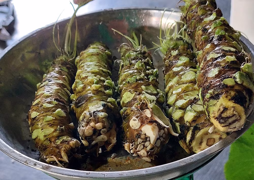 Trong cay wasabi, anh 'nong dan' o Da Lat nho cu ban 6 trieu dong/kg-Hinh-2