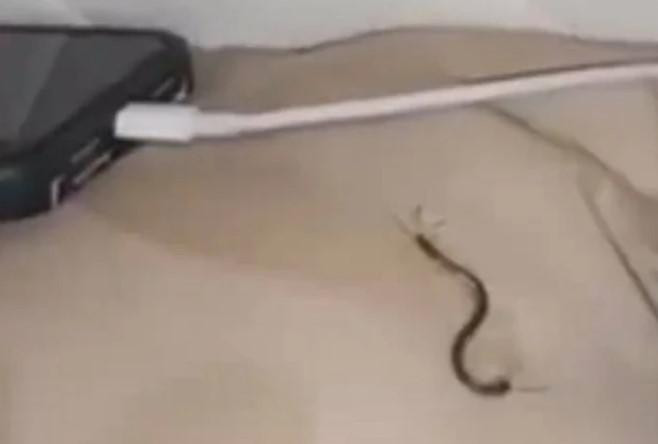 Dang ngu thi thay mat dau buot, nguoi phu nu so hai khoc