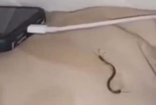 Dang ngu thi thay mat dau buot, nguoi phu nu so hai khoc