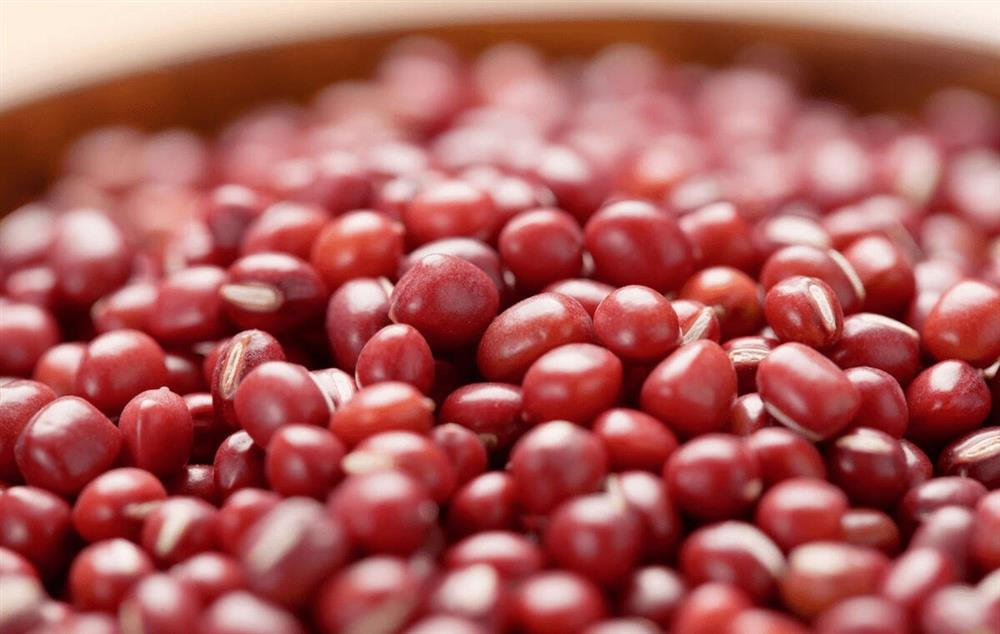 2 loai dau nen an vao mua xuan-Hinh-3