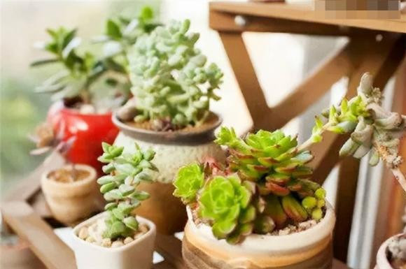 “Ngu bat buong trong nha, tai khong vuong” nghia la gi?-Hinh-2