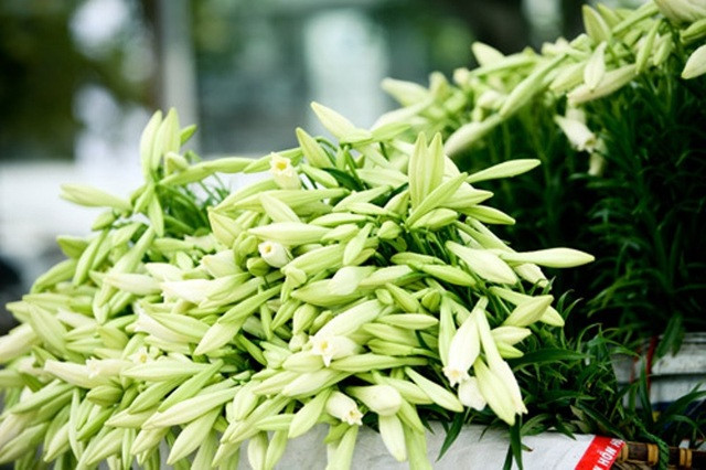 Họ luôn tâm niệm rằng nếu bản thân vui vẻ thì mọi sự sẽ như ý. Vì vậy, họ luôn giữ được tinh thần lạc quan ngay cả khi gặp những điều không như ý.