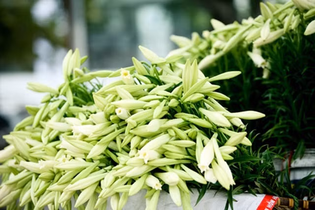 Họ luôn tâm niệm rằng nếu bản thân vui vẻ thì mọi sự sẽ như ý. Vì vậy, họ luôn giữ được tinh thần lạc quan ngay cả khi gặp những điều không như ý.