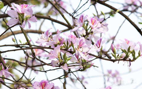  Trong khi phụ nữ sinh vào ngày Âm lịch này thường vượng phu ích tử, mang phúc lộc đến cho chồng con.