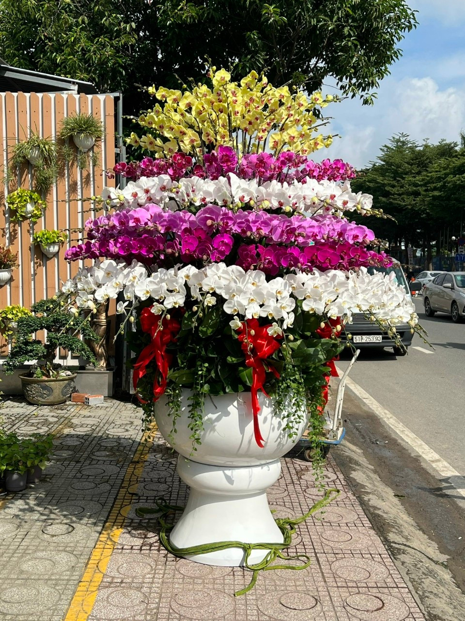 Lan ho diep trong tren go lua ca tram trieu dong hut khach