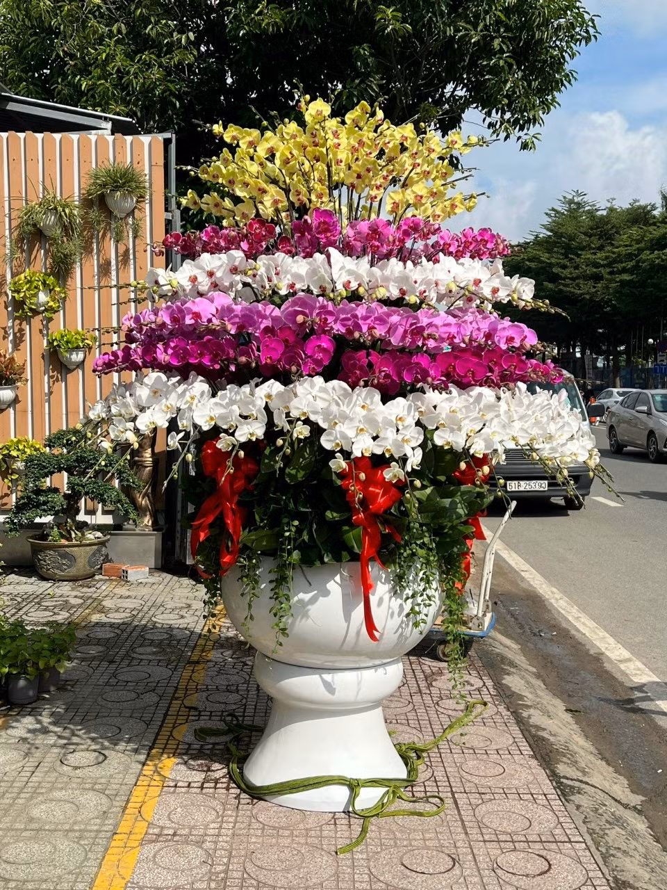 Lan hồ điệp trồng trên gỗ lũa cả trăm triệu đồng hút khách Lan ho diep trong tren go lua ca tram trieu dong hut khach