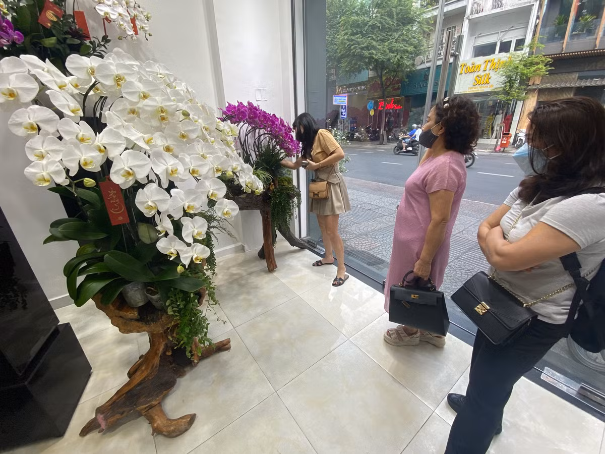 Lan hồ điệp trồng trên gỗ lũa cả trăm triệu đồng hút khách - Hình 6 Lan ho diep trong tren go lua ca tram trieu dong hut khach-Hinh-6