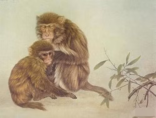 Den Tet Quy Mao, 3 con giap don khi the moi-Hinh-2