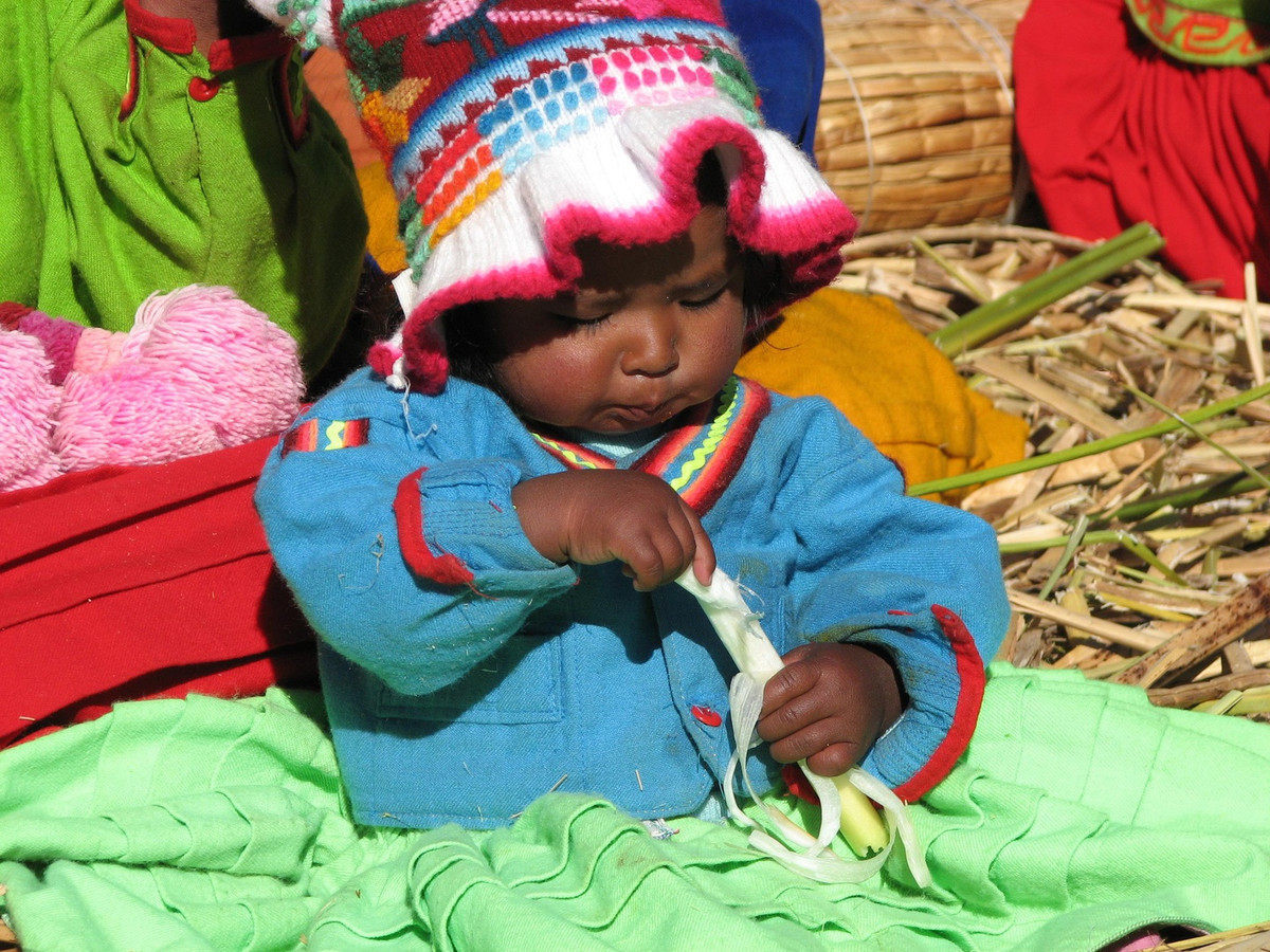 Du lịch là nguồn thu nhập chính của người Uros. Tuy nhiên, họ vẫn phải sử dụng một số kỹ thuật săn bắn hái lượm truyền thống để tồn tại. Ví dụ, người dân nơi đây sử dụng phần dưới màu trắng của cây sậy totora để ăn và thay thế như thuốc giảm đau. Cá hồi, cá da trơn và chim bói cá thường được đánh bắt trong hồ. Các loài chim thuần hóa như Ibis được nuôi để đẻ trứng. Một số gia đình thậm chí có gia súc gặm cỏ trên đảo tự nhiên hoặc trên đất liền. Ảnh: Rachel.breck.