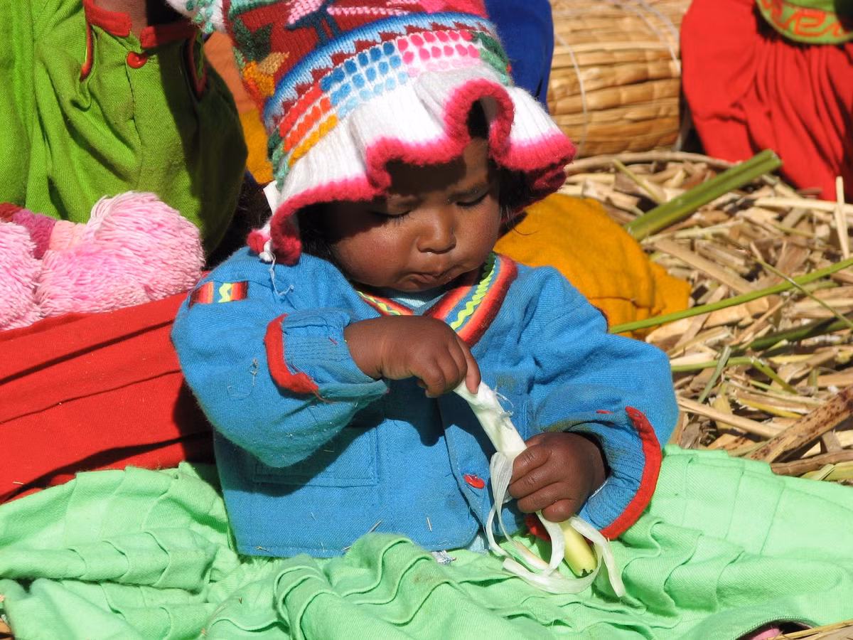 Du lịch là nguồn thu nhập chính của người Uros. Tuy nhiên, họ vẫn phải sử dụng một số kỹ thuật săn bắn hái lượm truyền thống để tồn tại. Ví dụ, người dân nơi đây sử dụng phần dưới màu trắng của cây sậy totora để ăn và thay thế như thuốc giảm đau. Cá hồi, cá da trơn và chim bói cá thường được đánh bắt trong hồ. Các loài chim thuần hóa như Ibis được nuôi để đẻ trứng. Một số gia đình thậm chí có gia súc gặm cỏ trên đảo tự nhiên hoặc trên đất liền. Ảnh: Rachel.breck.