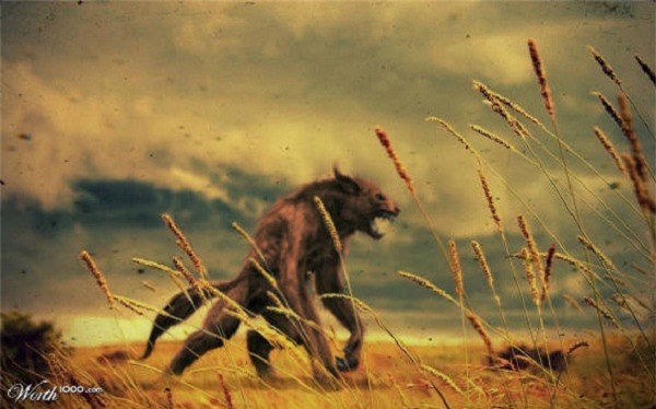 5. Garou Loup: Đây được coi là phiên bản ma sói trong văn hóa của người Pháp. Ma sói này rất đặc biệt, chúng đi bằng hai chân, có thể biến đổi từ sói sang người theo ý thích, nhất là vào những đêm trăng tròn. Đặc biệt, Garou Loup giữ được trí thông minh của con người nên nó cực kỳ nguy hiểm, đáng sợ và tàn nhẫn nhất trong các loài quái vật. 