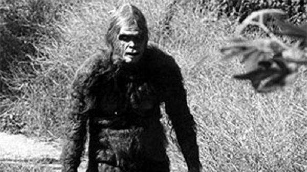 6. Fear Liath: Fear Liath tên đầy đủ là Fear Liath MOR là sinh vật người thú cao hơn 3m, nghi ngờ xuất hiện lần đầu tại hội nghị thượng đỉnh ở Ben MacDhui - ngọn núi cao thứ hai ở Scotland. Theo như mô tả, sinh vật này có thể coi là Người Tuyết , chúng không tấn công con người nhưng nhiều người cảm nhận và tin vào sự tồn tại của nó. Fear Liath rất hay hoảng sợ, chạy rất nhanh và hay lẩn trốn. Cho tới nay, vẫn chưa ai có một bằng chứng đủ thuyết phục để chứng minh xem Fear Liath có thực sự tồn tại trên Trái đất hay không. 