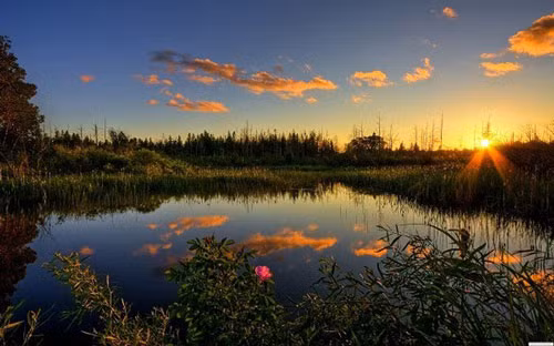 br/> 1. Vườn quốc gia Everglades - Hợp chủng quốc Hoa Kỳ: Vườn cận nhiệt đới Everglades nằm ở Florida, là khu vực hoang dã lớn nhất của Bắc Mỹ, nơi một loạt các hệ sinh thái dưới nước và trên cạn có hơn 20 loài quý hiếm, có nguy cơ tuyệt chủng và bị đe dọa. Florida báo đốm, rùa da và bờm ngựa là một vài trong số những động vật nổi tiếng nhất mà ‘Glades’ bảo vệ, và đó là nơi duy nhất trên thế giới có cá sấu Mỹ và cá sấu Bắc Mỹ cùng tồn tại. Vườn quốc gia rộng 1,5 triệu mẫu Anh cũng chứa cả cộng đồng rừng ngập mặn lớn nhất và thảo nguyên cỏ, rất quan trọng cho động vật sinh sản và di cư. Các mối đe dọa đối với khu vực bảo tồn này bao gồm phát triển đô thị, săn bắn và ngộ độc thủy ngân... 