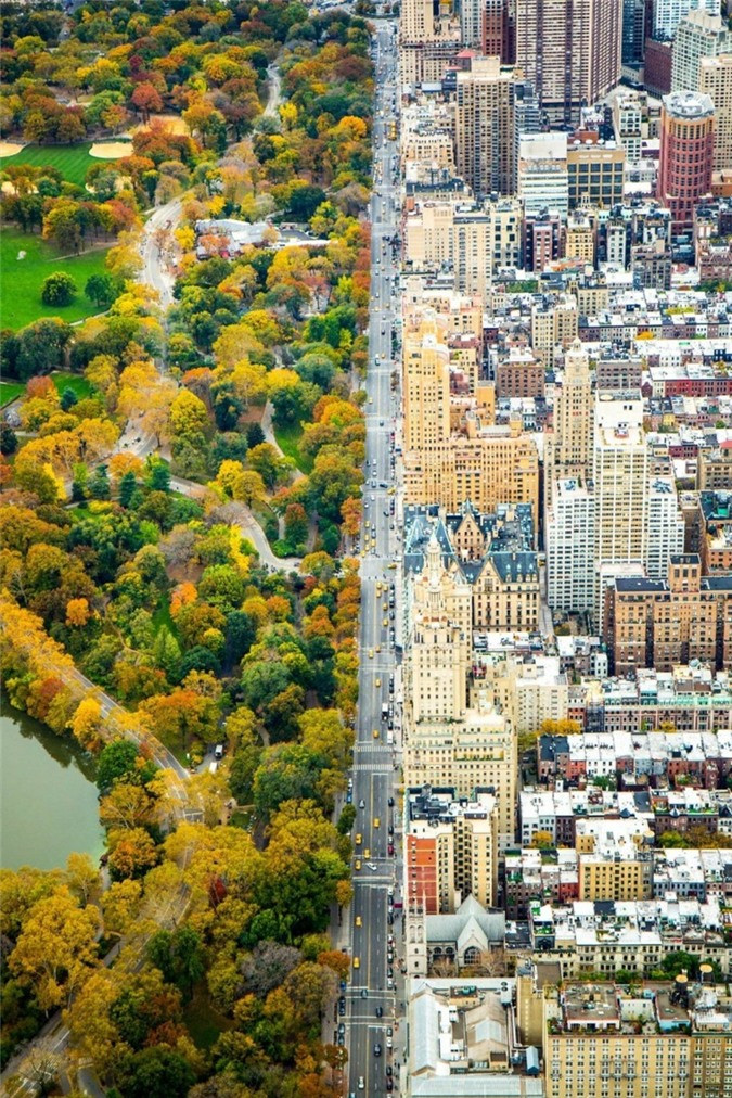 Sự khác biệt giữa hai “thế giới” ở NewYork, Mỹ được đánh dấu bằng một con đường băng qua khi một bên là bạt ngàn cây cối tươi xanh và một bên là những tòa nhà chọc trời hiện đại đứng san sát nhau.