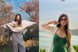 Hot face sao Việt: Hồ Ngọc Hà chụp cùng mai anh đào đẹp như tranh ở Đà Lạt