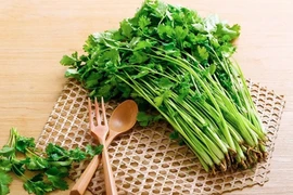 Loại rau gây 'mất đoàn kết' nhưng mang nhiều lợi ích sức khỏe bất ngờ