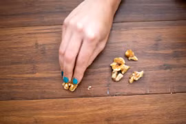 Cách xử lý vết xước sàn gỗ hiệu quả, tiết kiệm ngay tại nhà