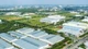 Đà Nẵng xử phạt 2 doanh nghiệp 350 triệu đồng vì vi phạm môi trường