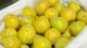 Mận cau Trung Quốc chỉ còn 25.000 đồng/kg