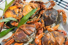 Tận thấy loài cua Việt sáng ngang tôm hùm Alaska, 1 triệu đồng/kg 