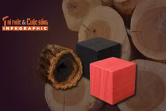 [INFOGRAPHIC] Top 5 loại gỗ đắt nhất thế giới
