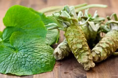 Loại củ đắt bậc nhất thế giới, 6 triệu đồng/kg tại Việt Nam 